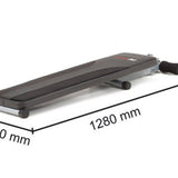 Panca addominali WBK-100 Everfit