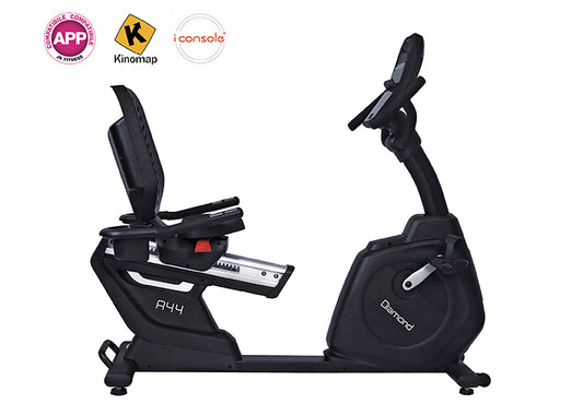 Recumbent professionale DIAMOND R44 Jk fitness