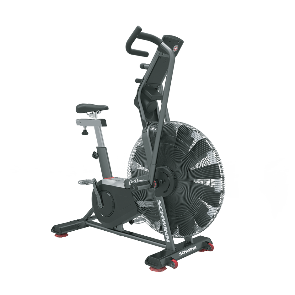 Crosstraining AIR DYNE AD8 Schwinn