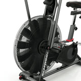 Crosstraining AIR DYNE AD8 Schwinn
